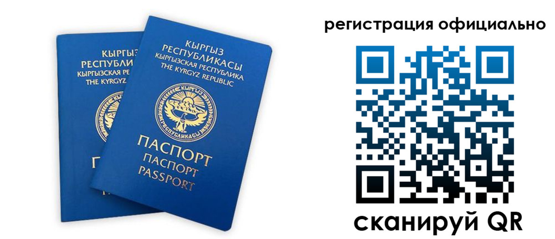 прописка поиск в Венёве